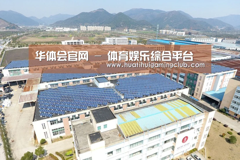 案例展示一