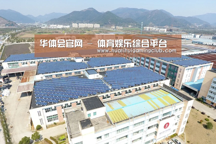 案例展示四