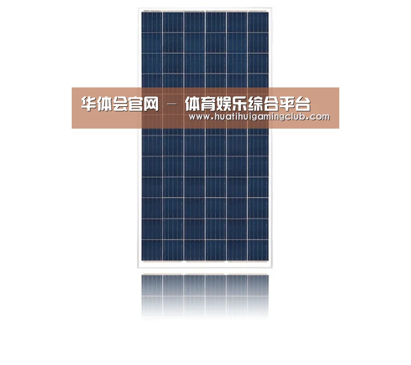 产品名称一
