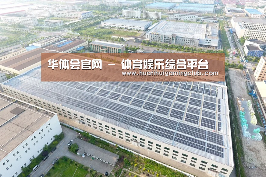 案例展示三