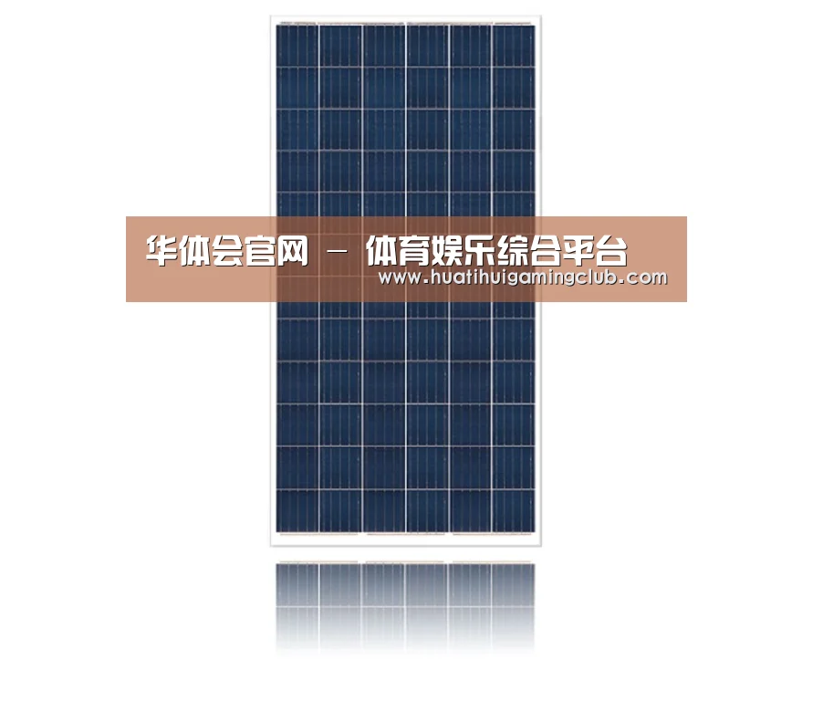 产品名称一