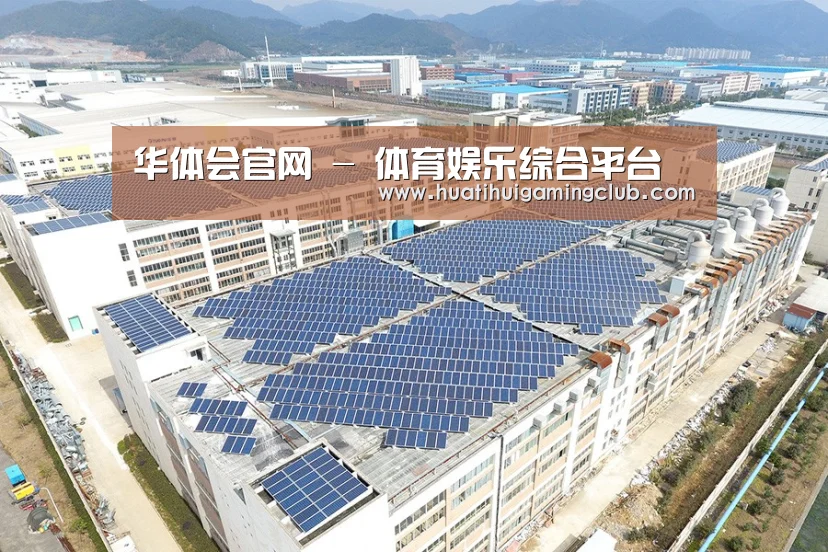 案例展示四