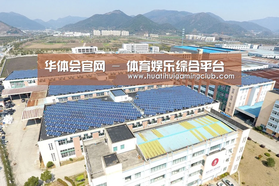 案例展示三