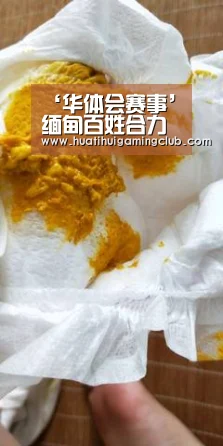 华体会下载