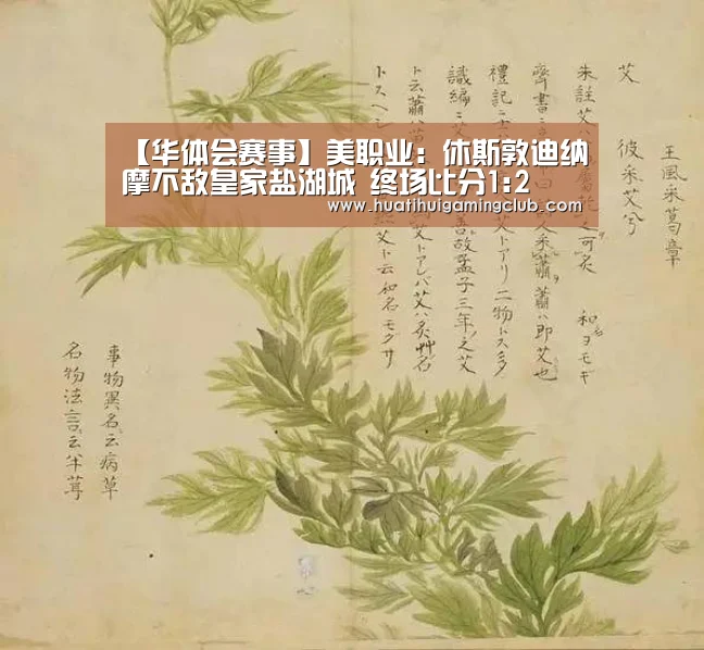 华体会下载